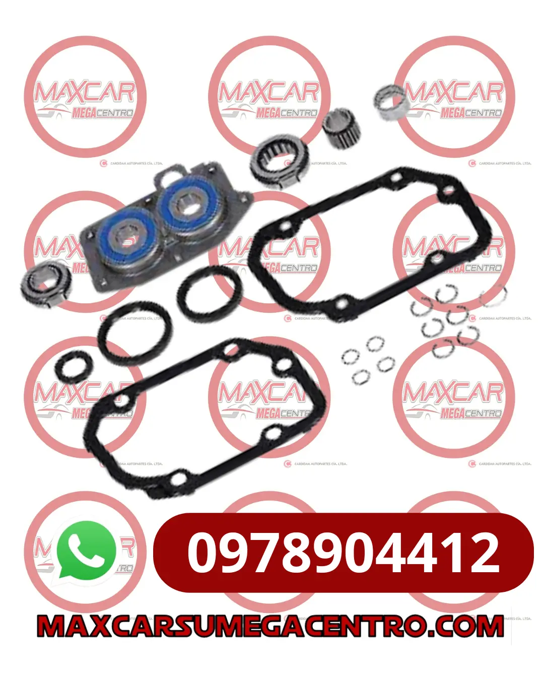 R.4620055100 Kit Rulimanes C/C Ina  Audi Skoda Vw Todos 1