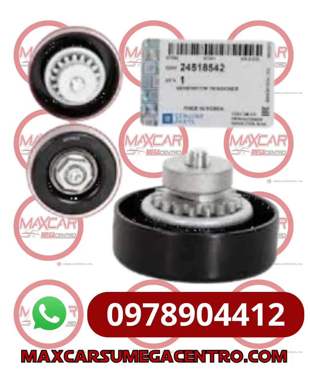 R.24518542 Polea Templadora Alt Gm Spark Gt 1.2/N200/N300 (1235.23) 1