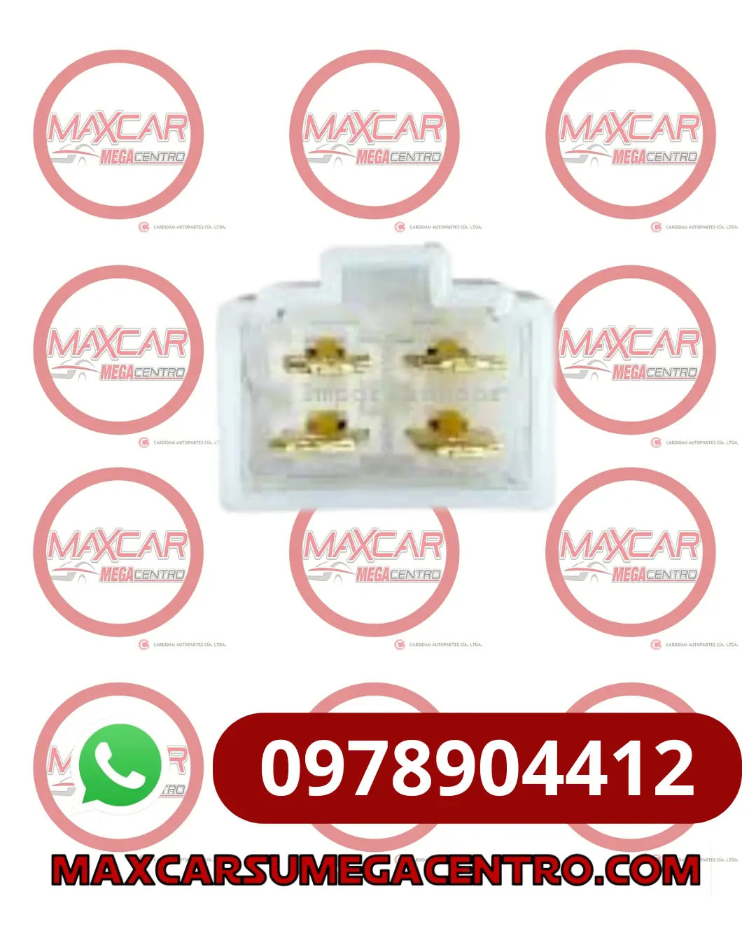 Soc.4T Socket 4T Macho 1