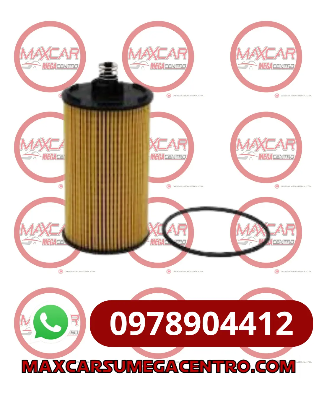 F.Aoe12246 Filtro Aceite Advance Tracker 2019- (Con Resorte) 25195785 1