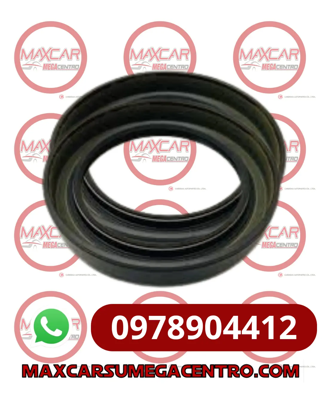 R.5063.58.5 Retenedor C/C Pos Isuzu 8972535521 (50X63.5X8.5) 1