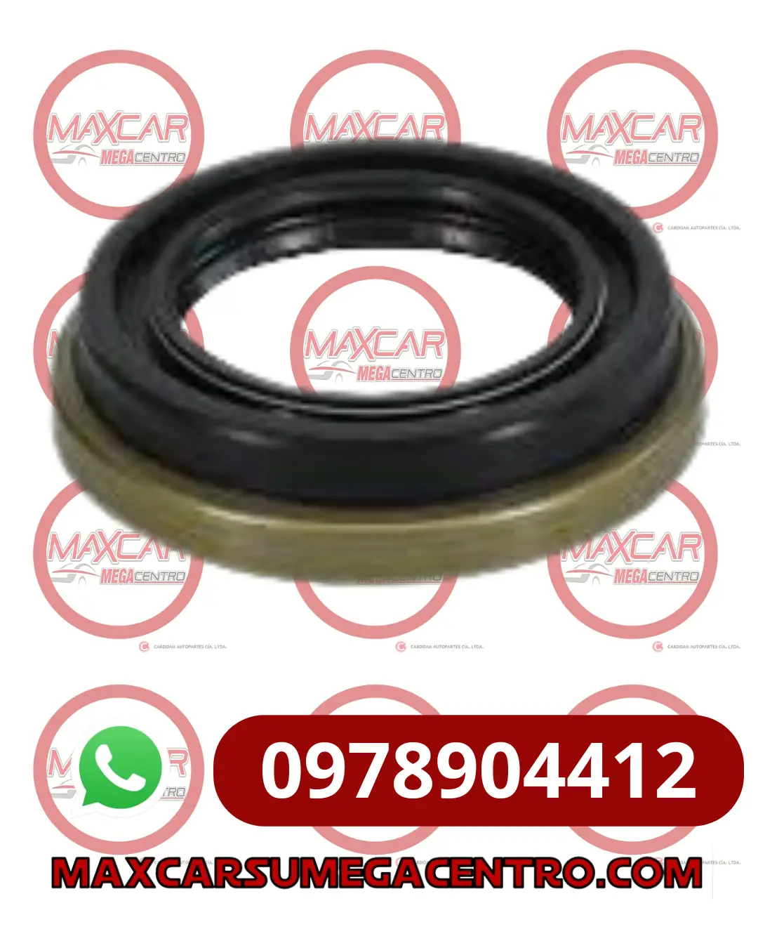 R.48709/17 Retenedor Rda Del Suzuki 09289-48004 Grand Vitara 2.0 J20 99 48X70x9/17 1
