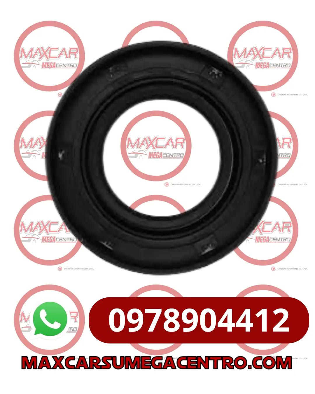 R.274910 Retenedor Musashi Tpn715 27X49x10 Sentra 1
