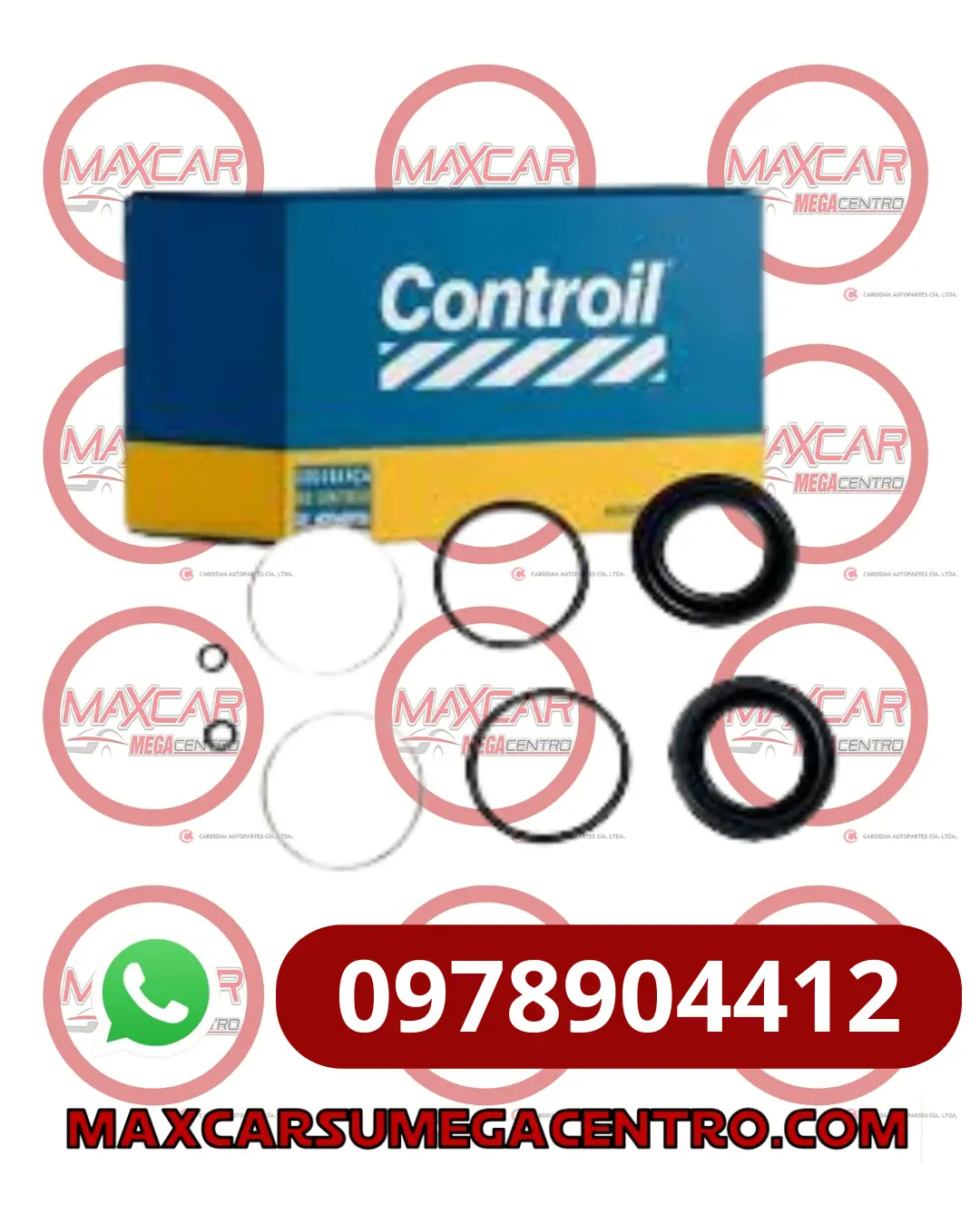 Rmo.C1490 Reparacion Mordaza Controil San Remo 84-96 1