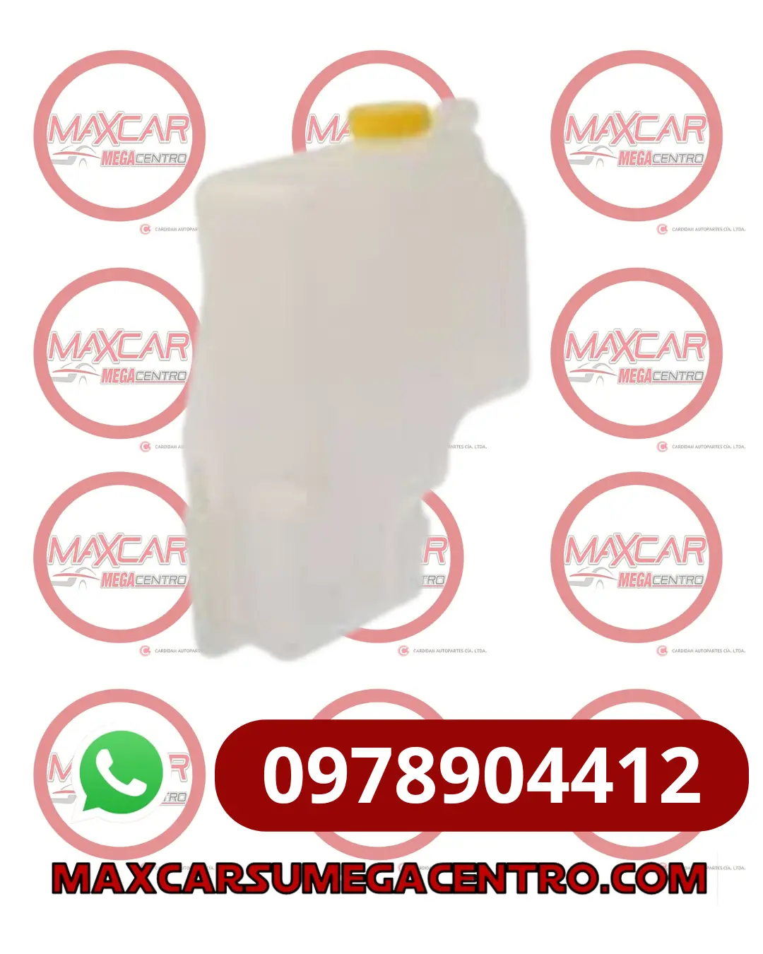 Res.21710-69Y00 Reservorio Radiador Tyg Dsb1003a/Sentra B13 1