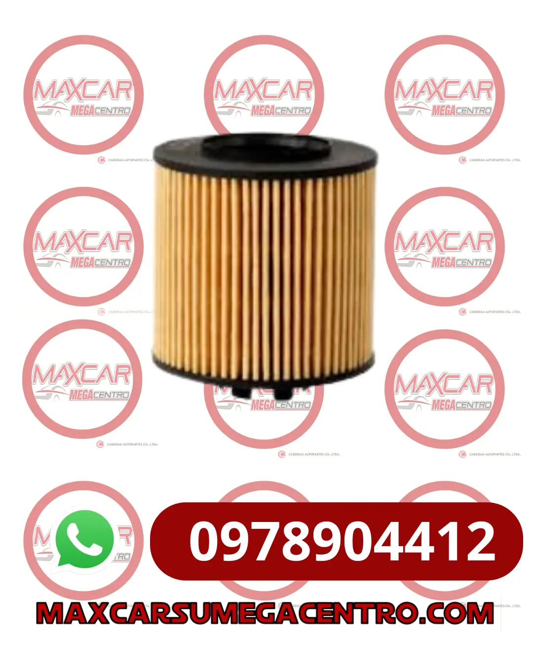F.Aoe13125/1 Filtro Aceite Advance Sinotruck C7h  Mc11 1