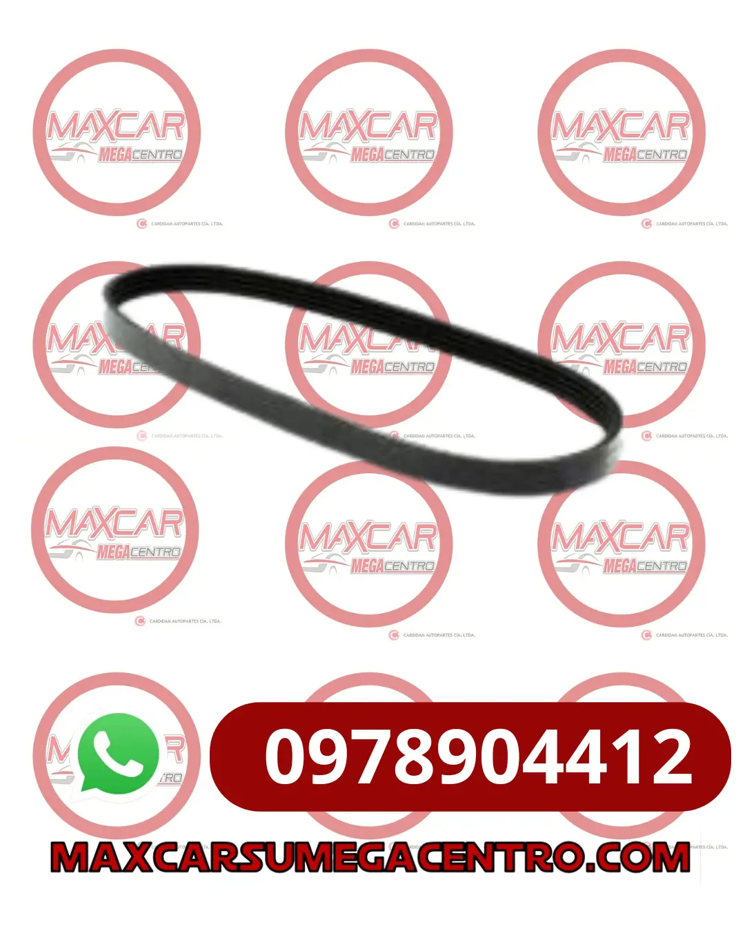 B.4Pk611eer Banda Ogmp Dir Hid Sail Elastica 1