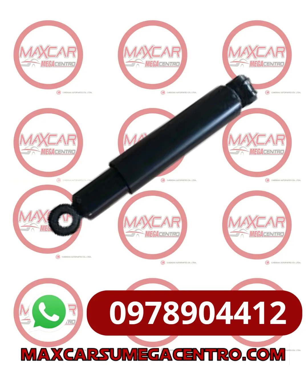 A.24546807 Amortiguador Pos Dlb Tam820 Van N300 Rh/Lh Aceite 1