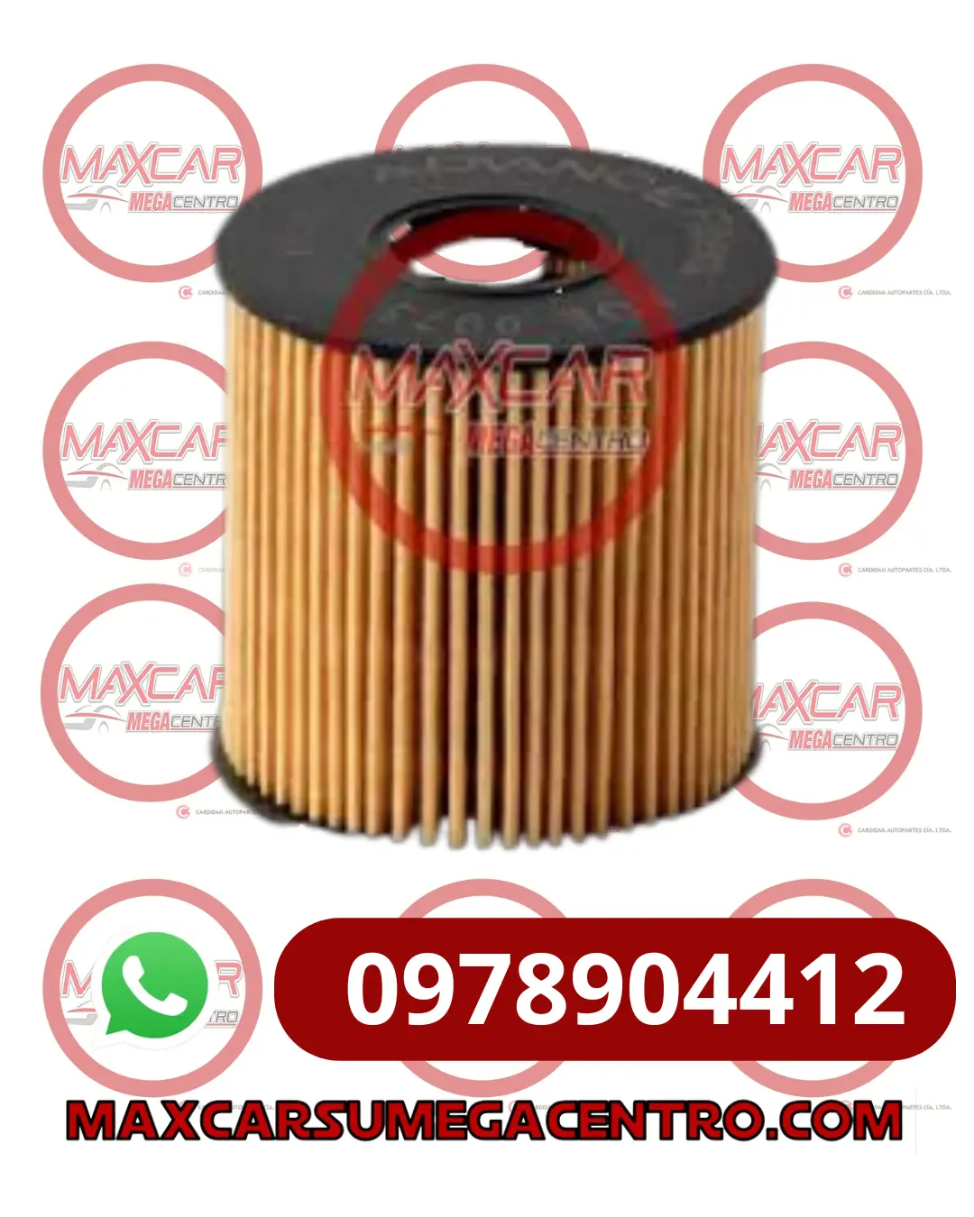 F.Aoe9973 Filtro Aceite Advance Peugeot 206 Citroen (Ml9814) 1