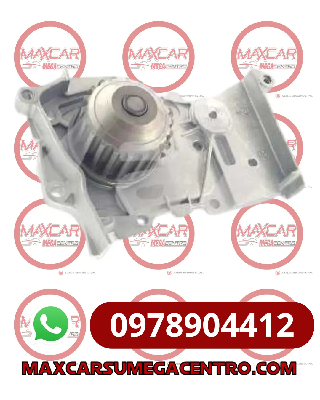 Boa.Wp049 Bomba Agua Borgwagner Duster 1.6 12-24 Logan Sandero 1.6 06-19 Megane 1.4 1.6 00-16 Clio 1.4 1.6 02-09 Scenic 1.4 1.6 Symbol 1.4 1