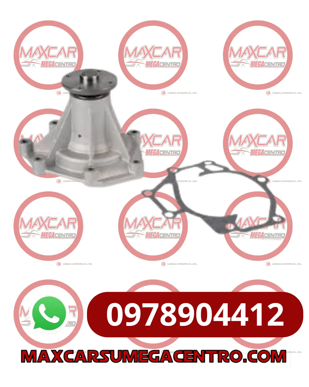 Boa.25100-4A855 Bomba Agua Mobis Hy H350 1