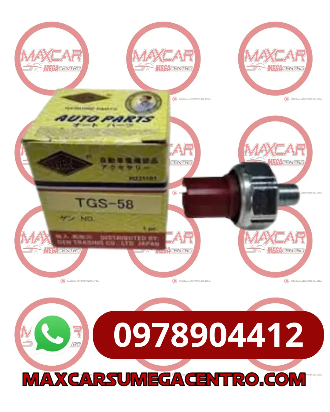 Tra.Tgs58 Trompo Aceite Gen Sentra 1