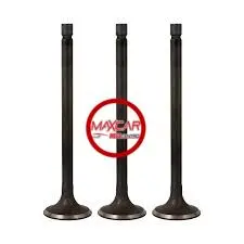 Valvula Esc Fuji 0155-0354 Forza I/Chev.Forza 1.3L 30X114.5X7x1  - Vef0354 1