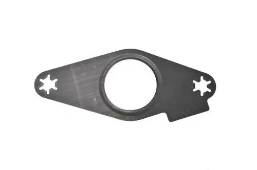 High Pressue Fuel Pump Gasket| (Lt1, Lt4, L83, L86 Engines) 1