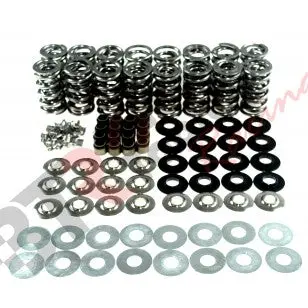 Btr .660" Dual Platinum Valve Spring Kit| (Lt1, L83, L86 Engines) 1