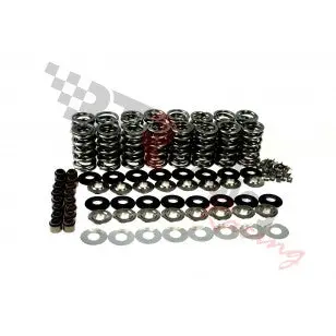 Btr .660" Dual Platinum Valve Spring Kit| (Lt4 Engines) 1