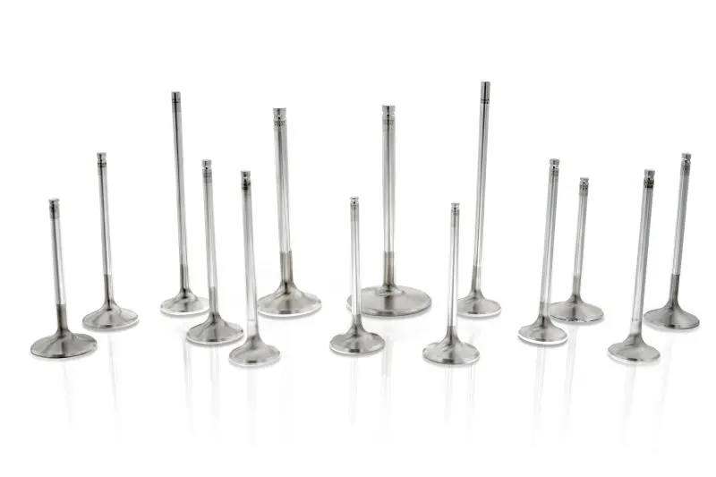 Ferrea Viton High-Temperature Exhaust Valve Stem Seals – 6Mm, Nissan Vq35 Engine (Set Of 12) 1