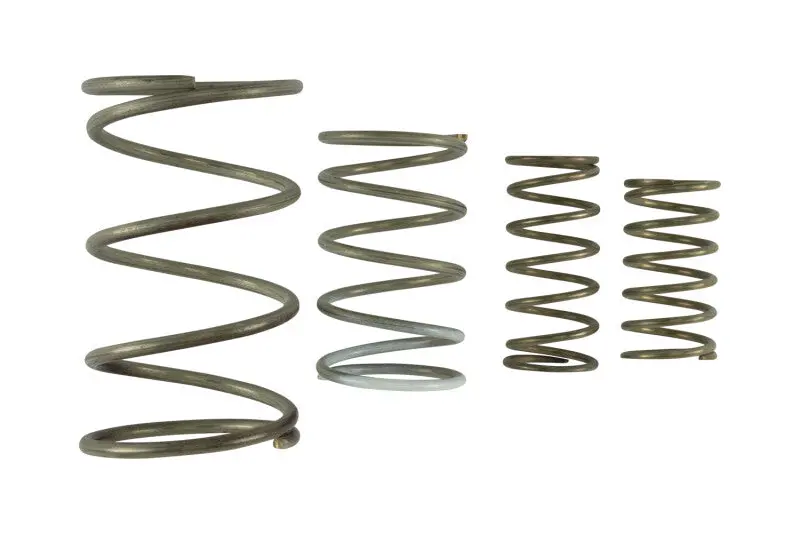 Turbosmart Gen V Wg60 Wastegate Spring Replacement Kit 1
